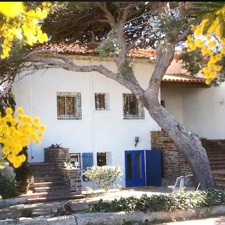 Bed & Breakfast Bleue - Les Pins *
