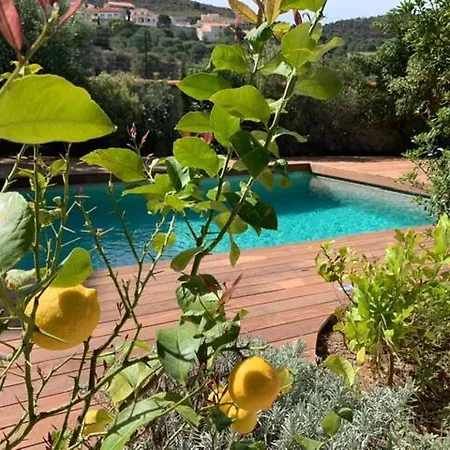 Bleue - Les Pins Port Vendres